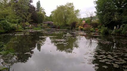 Admiring the flowers and landscapes of our world