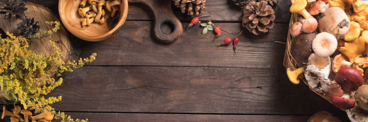 Autumn harvest of mushrooms on vintage rustic wooden background. Rustic kitchen table. Flat lay top, top view . Layout with free text space. Forest harvest concept. Banner.