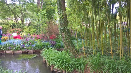 Admiring the flowers and landscapes of our world