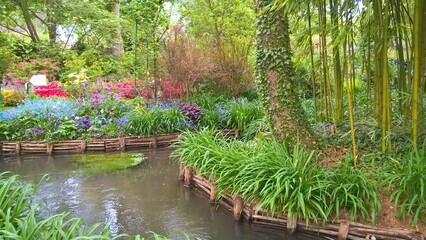 Admiring the flowers and landscapes of our world