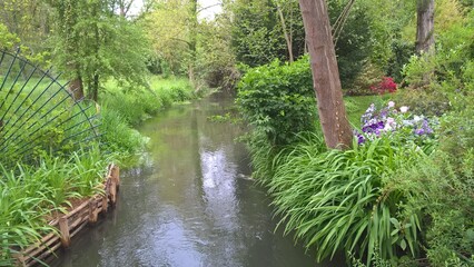 Admiring the flowers and landscapes of our world