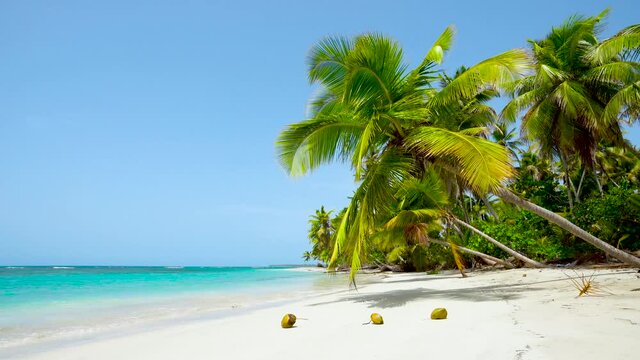 Summer tourists vacation on Mexico sunny beach background. Virgin clear paradise palm island beach and sea. Loop video 4K, no person, Copy space.