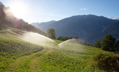 Sprinkler watering a lawn in Switserland