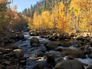 River with rocks and trees with fall colors in autumn at Hope Valley, California