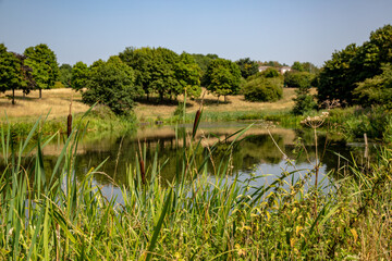 Fototapeta premium midlands canals