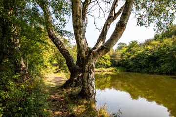 Fototapeta premium midlands canals