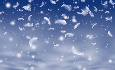 Feather abstract freedom concept. Group of light fluffy a white feathers floating in night sky with snowfall.
