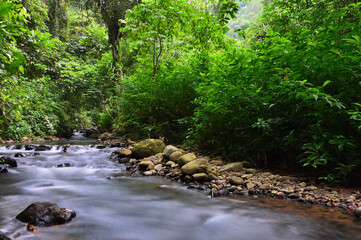 Obraz premium small river in the slow speed photography