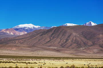 Mountains in Bolivia