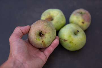 Apfel nach der Ernte in der Hand
