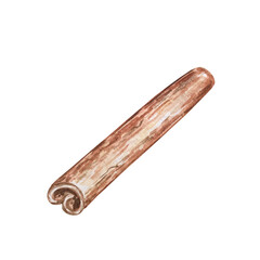 watercolor illustration spice cinnamon stick