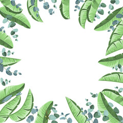 Tropical background with banana leaves and eucalyptus. Vector illustration