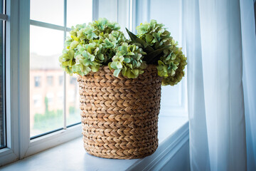 on the window is a wicker basket with light green hydrangea. white curtain, shadows, bright walls. space for text