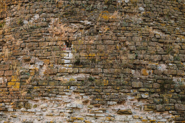 Texture of old bricks. Close-up brick wall with sprouting grass. Beautiful background