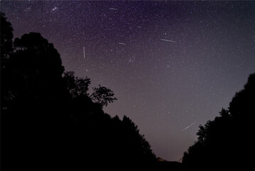 Perseid meteor shower on summer night sky above silhouettes of trees as seen in August 2020