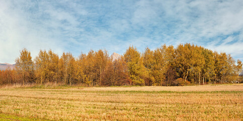 Dry autumn field, yellow coloured trees with mount Krivan peak (Slovak symbol) showing behind. Typical autumnal scenery in Liptov region