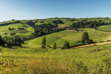 Typische Landschaft im Appenzellerland mit gr&uuml;nen Weidefl&auml;chen und Bauernh&auml;usern. Kanton Appenzell Innerrhoden, Schweiz