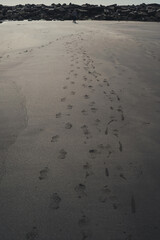footprint road in the sand, travel concept, summer campaign, progress advertising