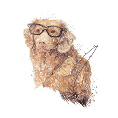 amazing portrait of dog with glasses on whithe background