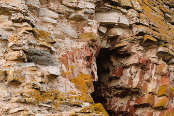Texture of old bricks. Close-up brick wall with sprouting grass. Beautiful background