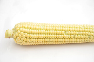 the ripe corncob with grain isolated on white background.