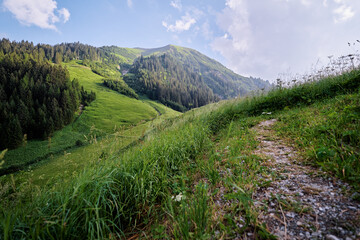 Beautiful summer mountains landscape. Green Alps view.