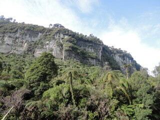 Naklejka premium punakaiki in newzealand