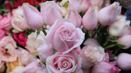 Fototapeta na wymiar pink roses bouquet for valentines day in Asia. romantic gift for girlfriend.