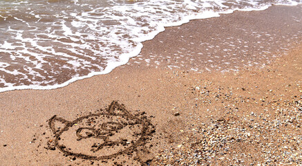 image of a face on the sea sand