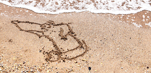 image of a Greyhound on the sea sand