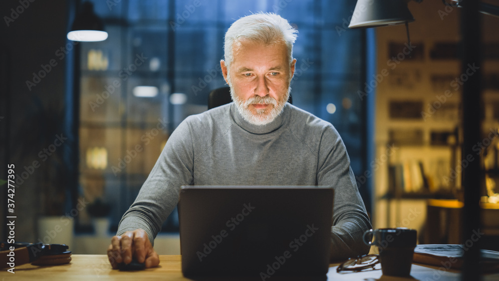 Poster portrait of the handsome and successful middle aged bearded businessman working at his desk using la