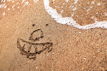 image of a face on the sea sand
