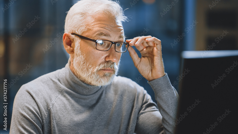 Poster portrait of the handsome and successful middle aged bearded businessman working at his desk using la