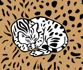 The cat pattern.Sleeping Bengal cat surrounded by leopard spots.