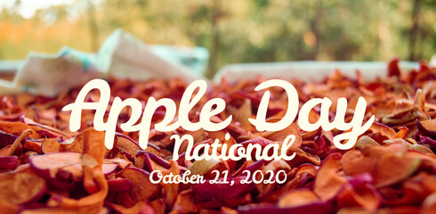Apple is a national holiday. Autumn natural background with dry fruits cut into slices.