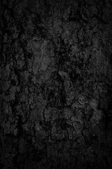 Obraz premium Black tree bark background Natural beautiful old tree bark texture According to the age of the tree with beautiful bark during the summer