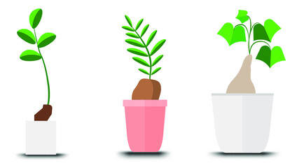 flowerpot icons vector, Doodle house plants