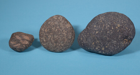 Three specimen of Rhomb-porphyry stones. They are a product of an ice age 2.6 mio years ago and caused by crystallisation of two different molten stone types.