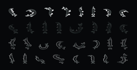 Musky Tiger musky and Northern Pike. line style. vector illustration of fish predators.