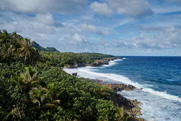 Obraz premium Tropical landscape. Seashore, big waves.