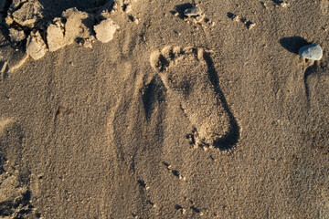 Child footprint on beach sand