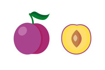 EPS 10 vector. A plum and a slice of plum isolated on white background. Good for projects.