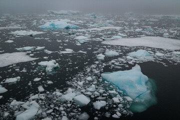 Icebergs and sea ice in Antarctica
