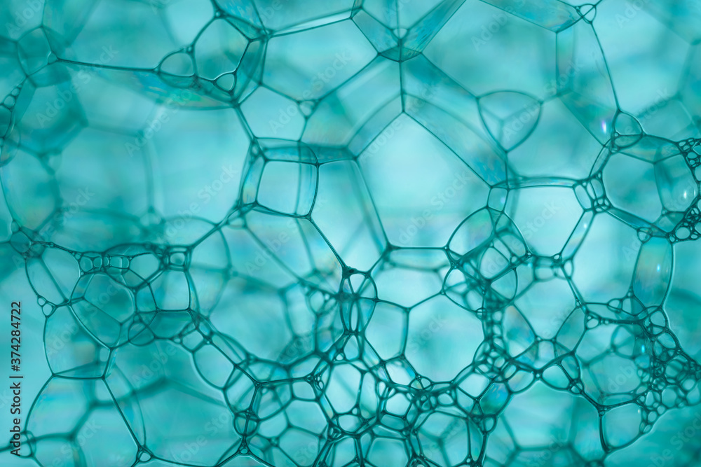 Fototapete close up beautiful aqua menth abstract soap bubbles. background pattern for design. macro photograph