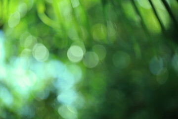 abstract background with bokeh
