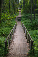 Fototapeta premium Wooden footbridge and path to small house in the park in summer, Moscow region, Russia 