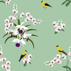 Seamless vector illustration with orchids and birds