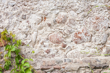 Stone wall texture. Mosaic rocks decorative wall background. Masonry wall of old stones. Old stone wall with ivy as background. Decorative facing of the outer walls of the house.