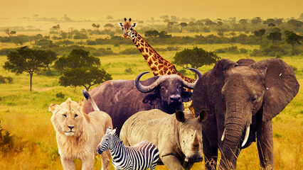 Wild animals of Africa (collage)