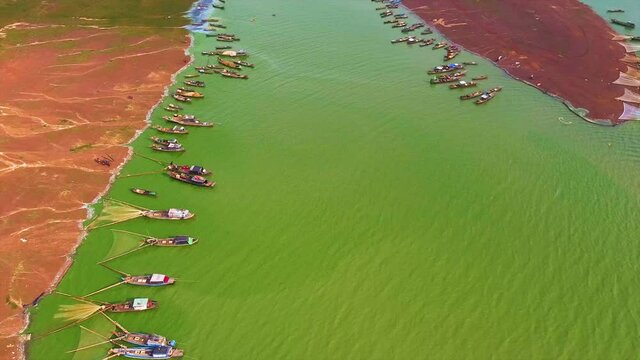 Aerial view of Ben Nom fishing village, a brilliant, fresh, green image of the green algae season on Tri An lake, with many traditional fishing boats anchored. Location in Dong Nai province, Vietnam